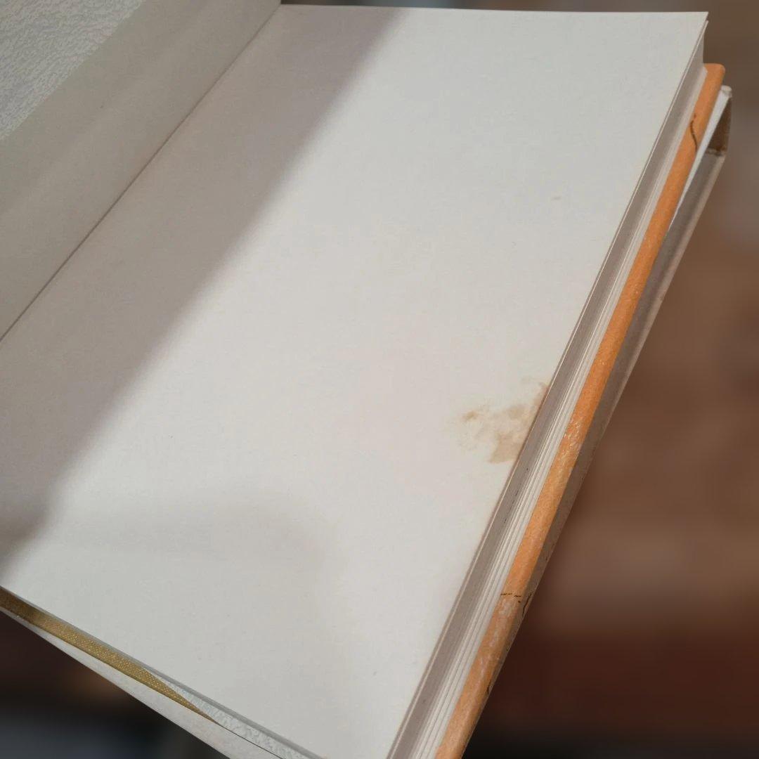 『骨の城』P・ファーマー（作）篠崎書林 児童書