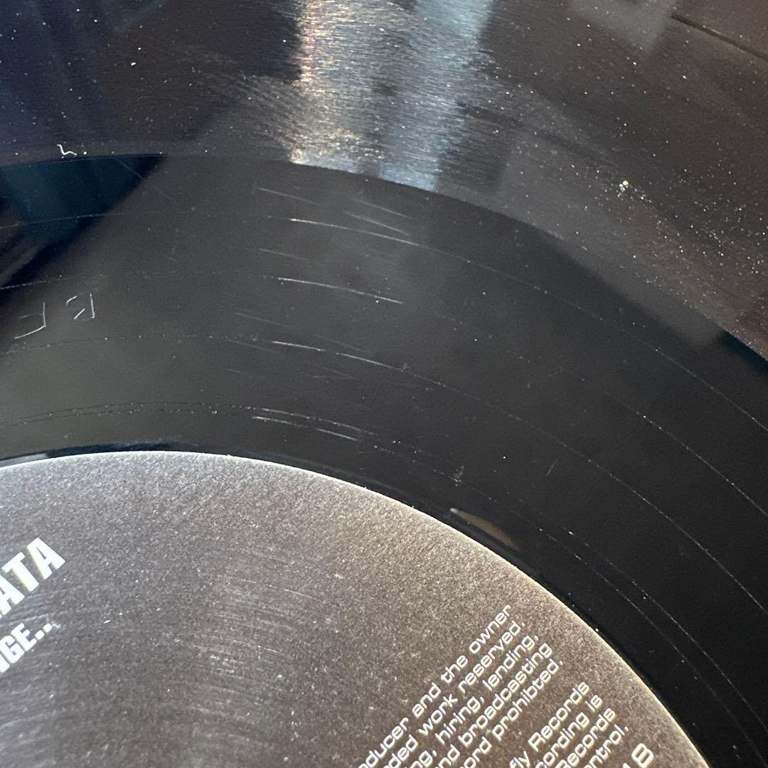 洋楽 DragonflyRecords OrderOdonataExperiments