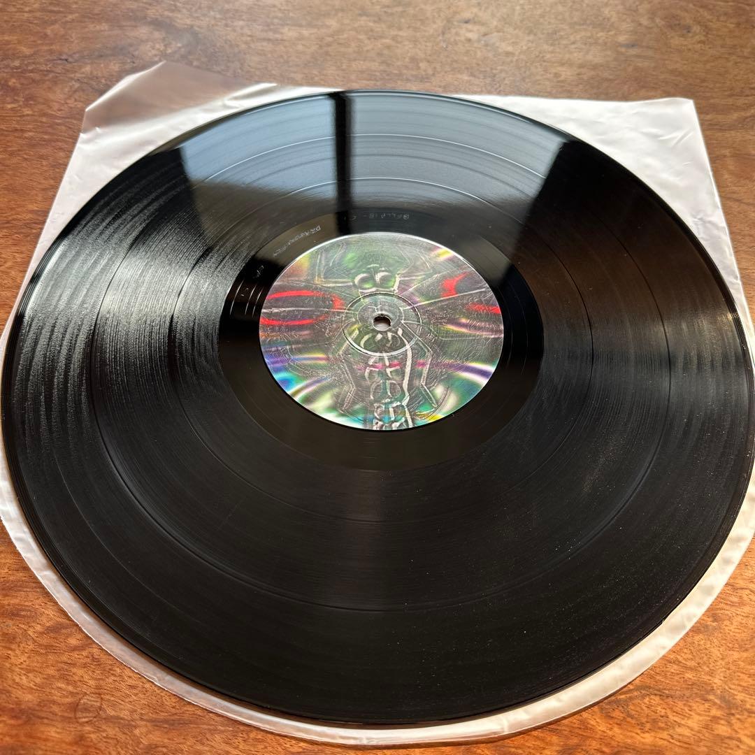 洋楽 DragonflyRecords OrderOdonataExperiments