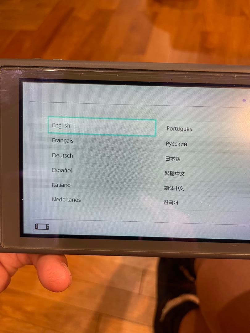 Nintendo Switch Lite グレー 本体　任天堂　スイッチ