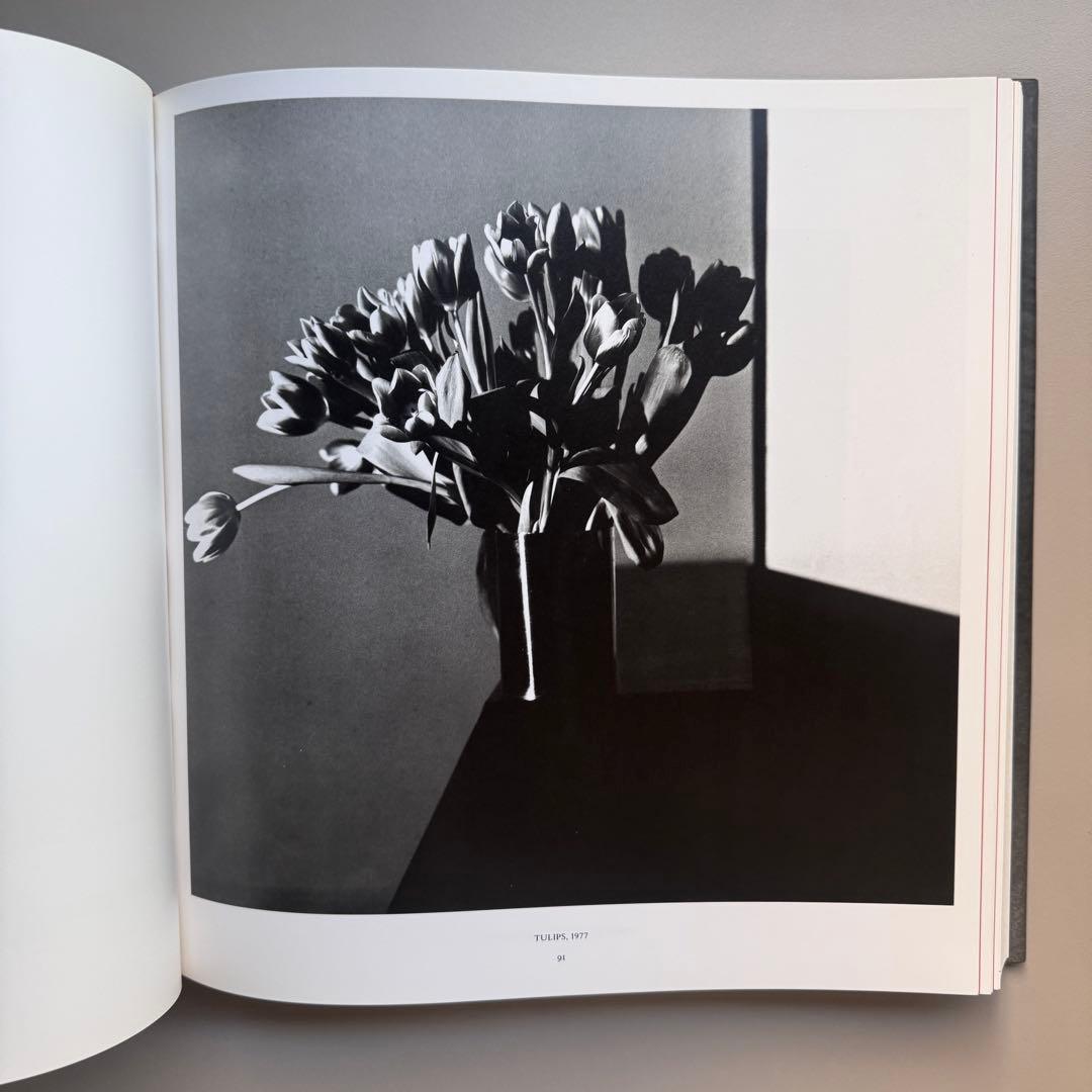 ロバート・メイプルソープ: MAPPLETHORPE