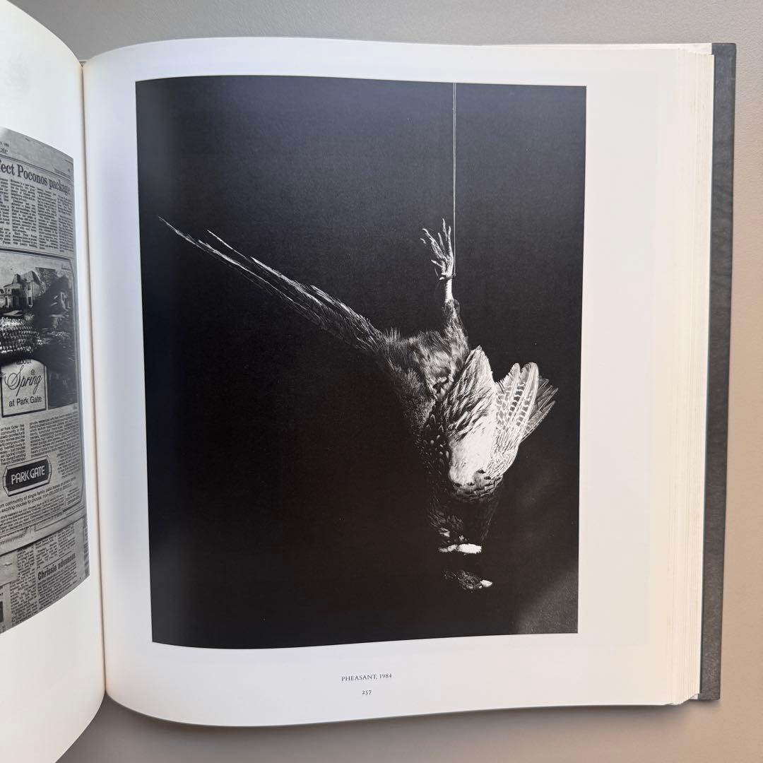 ロバート・メイプルソープ: MAPPLETHORPE