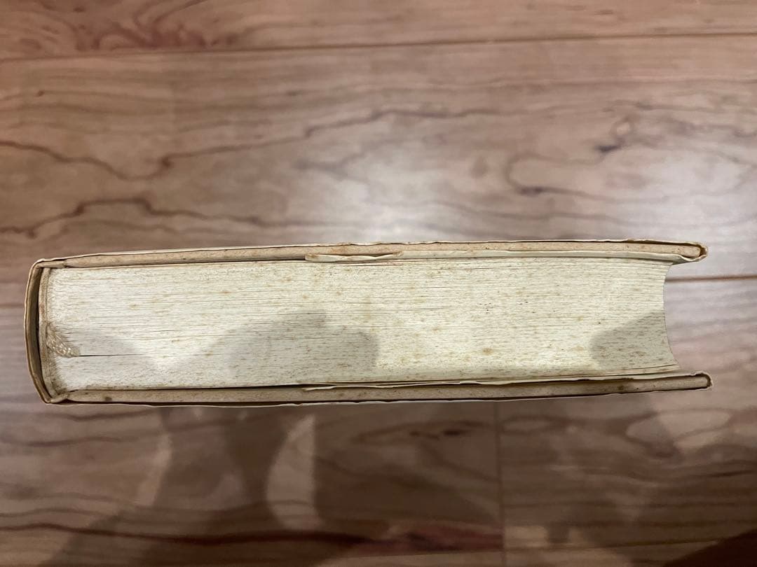 「ヘーゲル読解入門」アレクサンドル・コジェーヴ 国文社 希少本/レア本