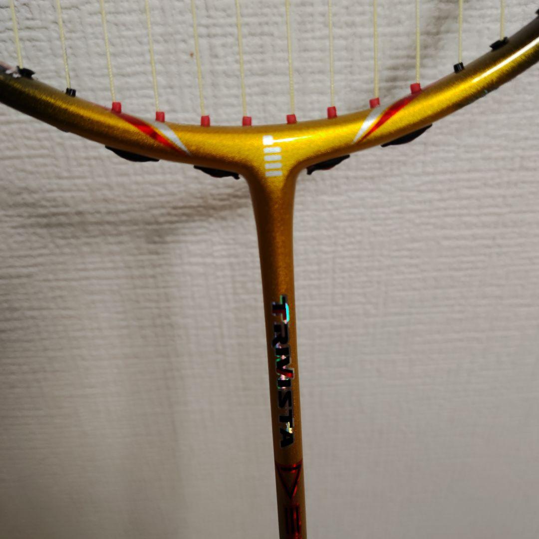GOSEN ゴーセン TRIVISTA DELTA 3U5 バドミントンラケット