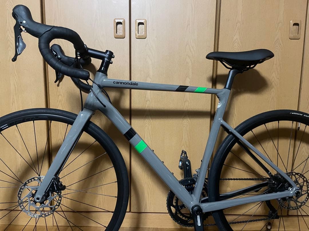 CANNONDALE CAAD13 DISC 2021年　54 ステルスグレー