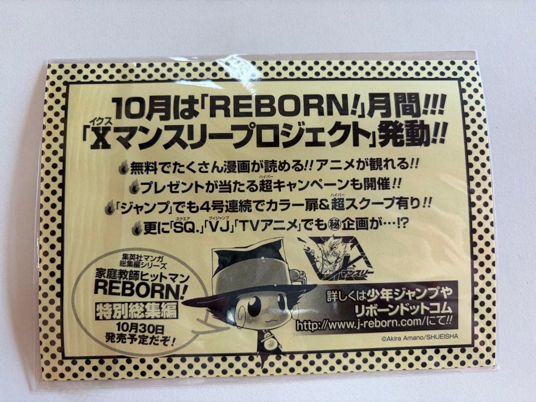 【美品】家庭教師ヒットマンREBORN！　初版、帯付きあり おまけ付き