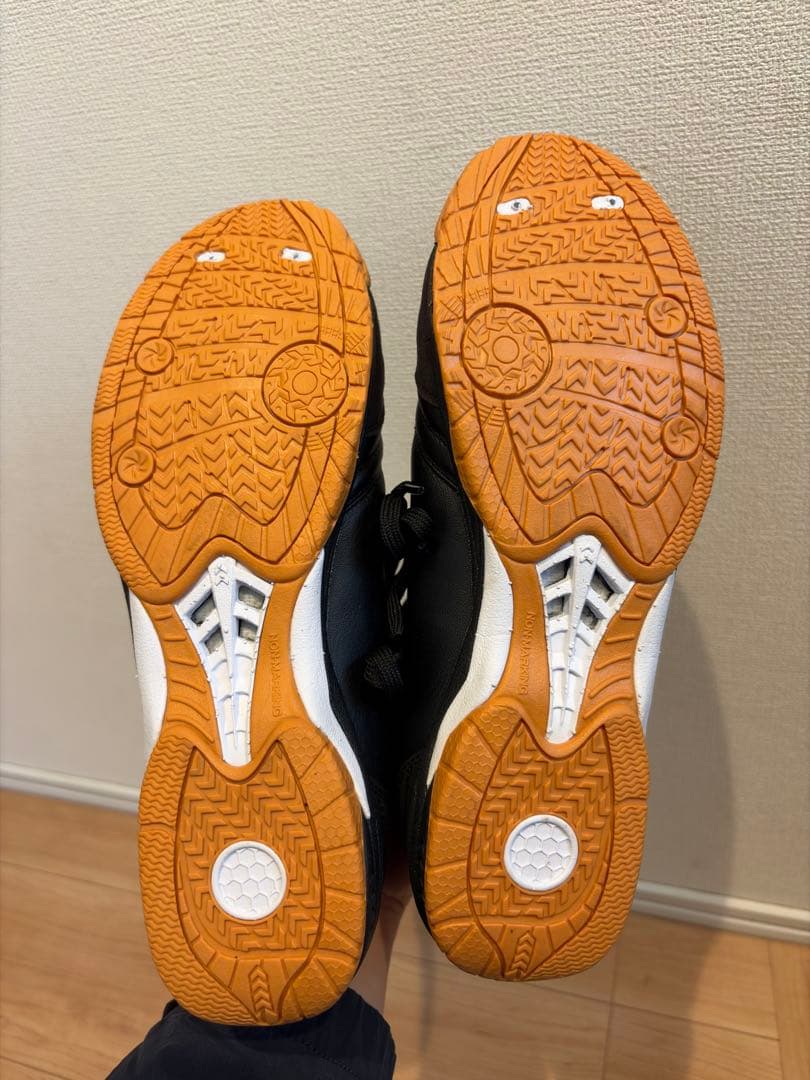 アピカーレ5 PRO PG 26.5cm