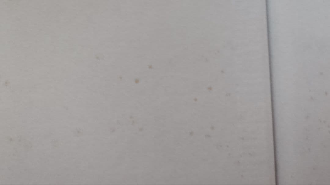 初版 希少本 エレン フレンチフォトグラフティー？