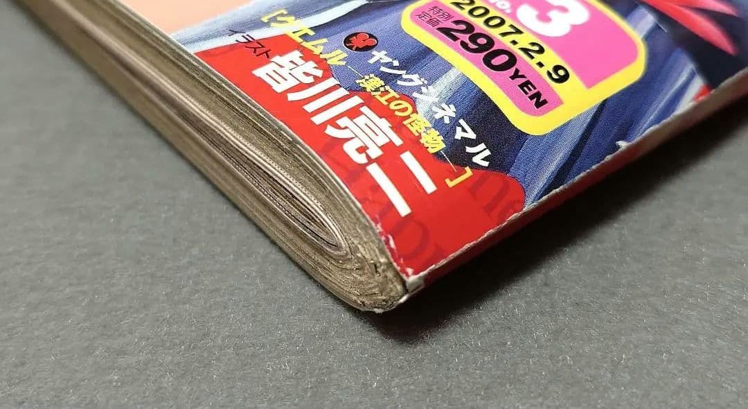 ヤングアニマル2007年3号ベルセルク巻頭カラー第281話掲載/三浦建太郎