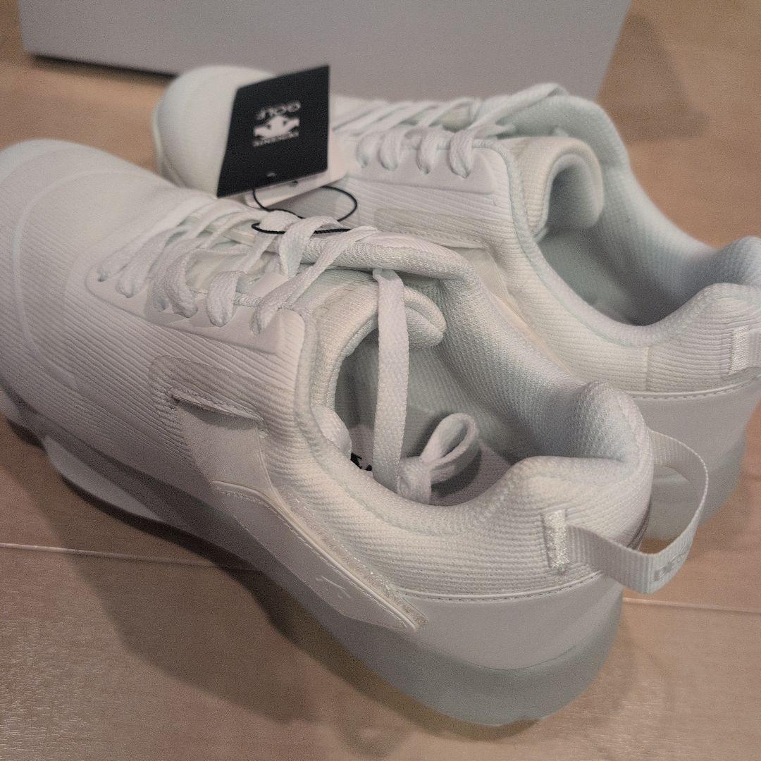 デサント　ゴルフシューズ　25.0cm