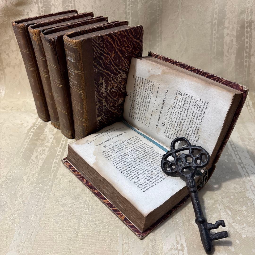 アンティーク　ビンテージ　フランス語　洋書　古書　洋古書　5巻セット