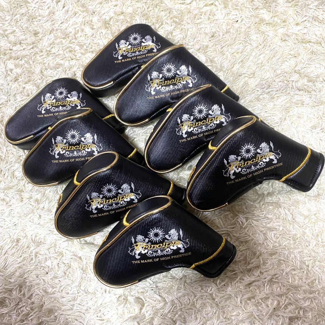 【未使用】ミズノ プリンシピア アイアン 8本 右 R1 ゴルフクラブ メンズ