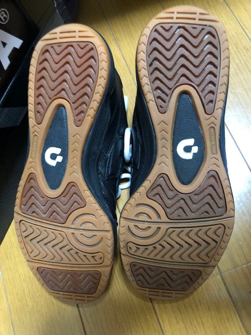 Desporte × Luz e sombra 別注カンピーナス　25cm