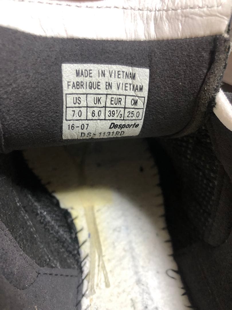 Desporte × Luz e sombra 別注カンピーナス　25cm