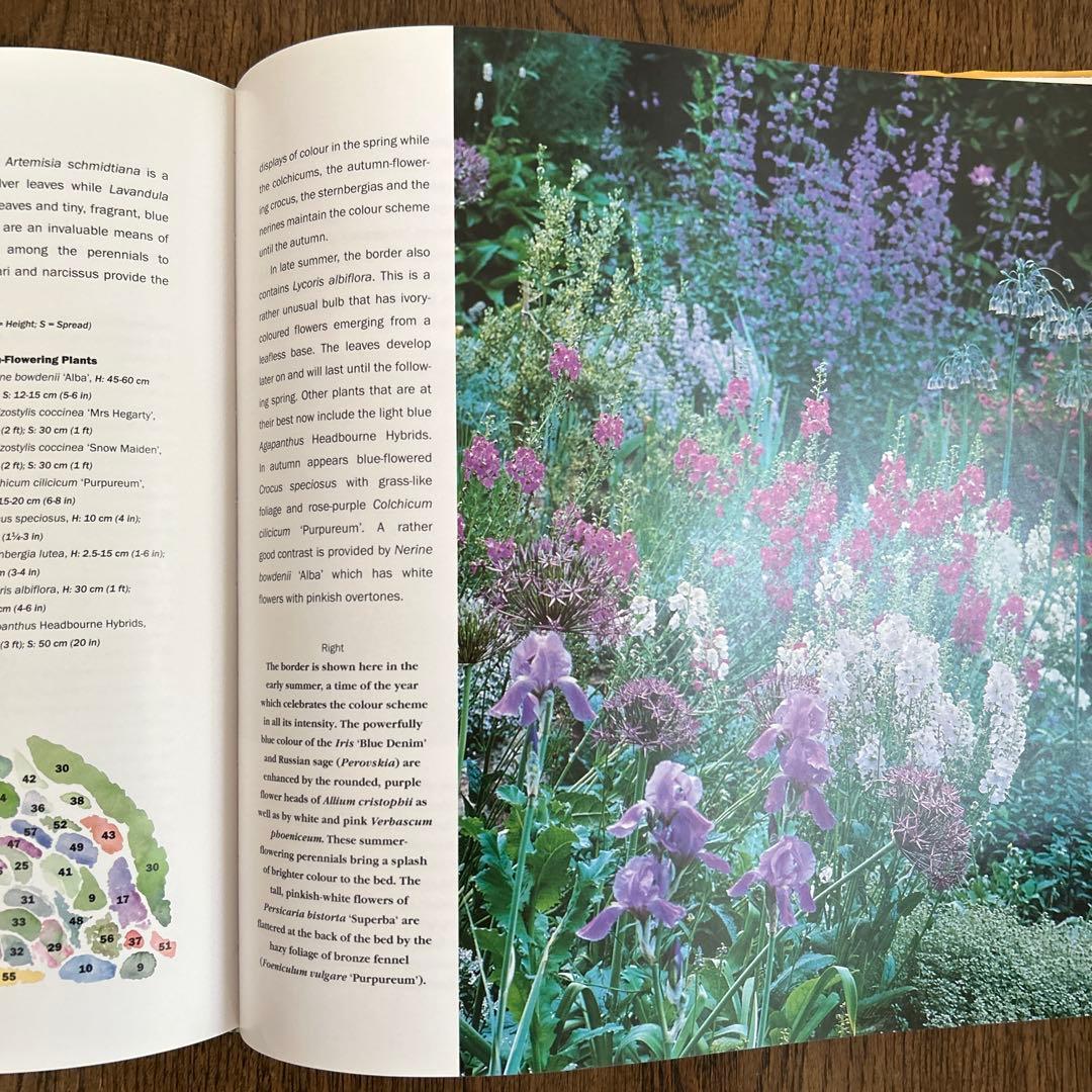 洋書　Planting Companions