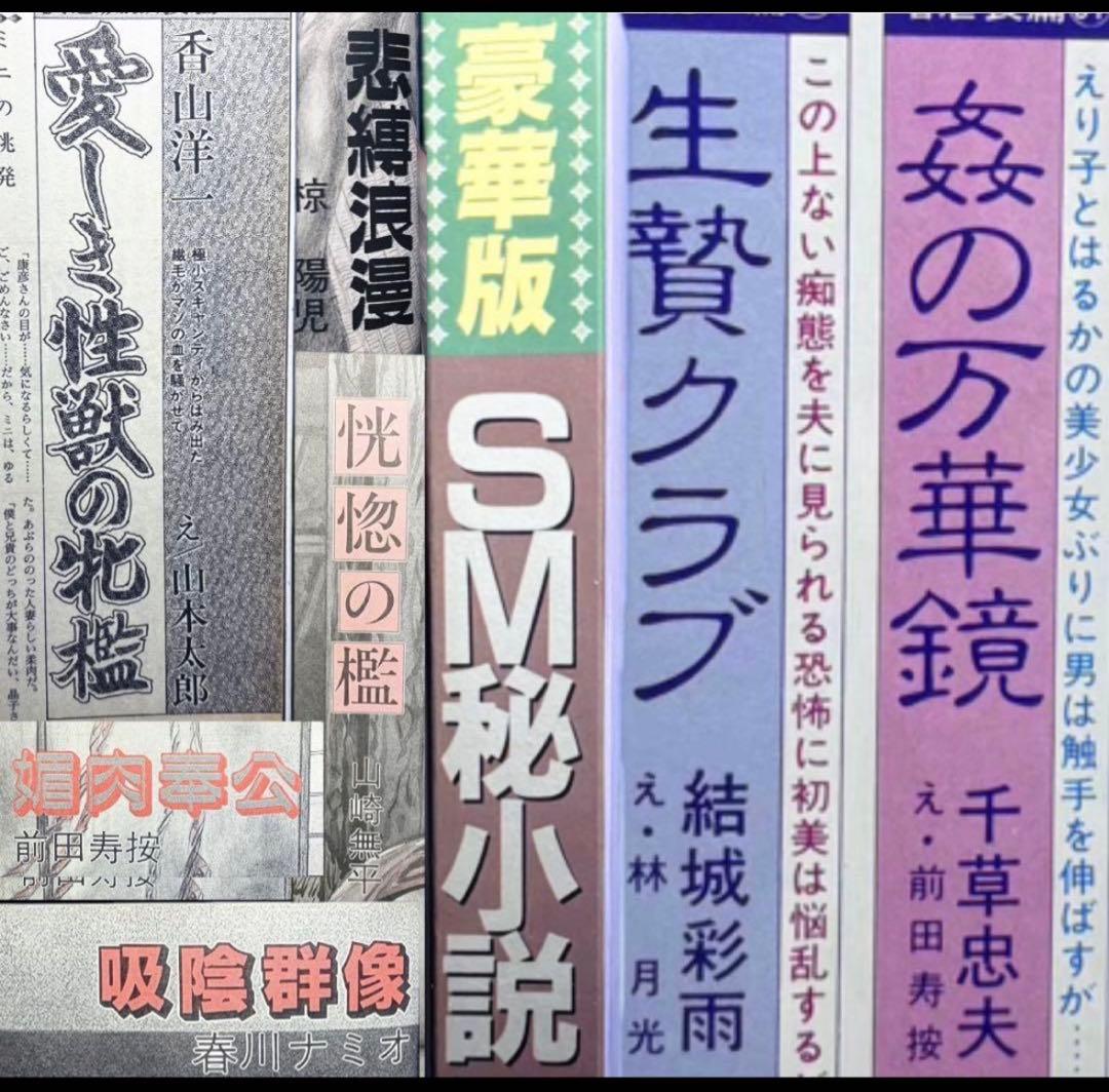 絶版】秘小説93年6月 千草忠夫 結城彩雨 　　　前田寿按 楡畑雄二 椋陽児 他