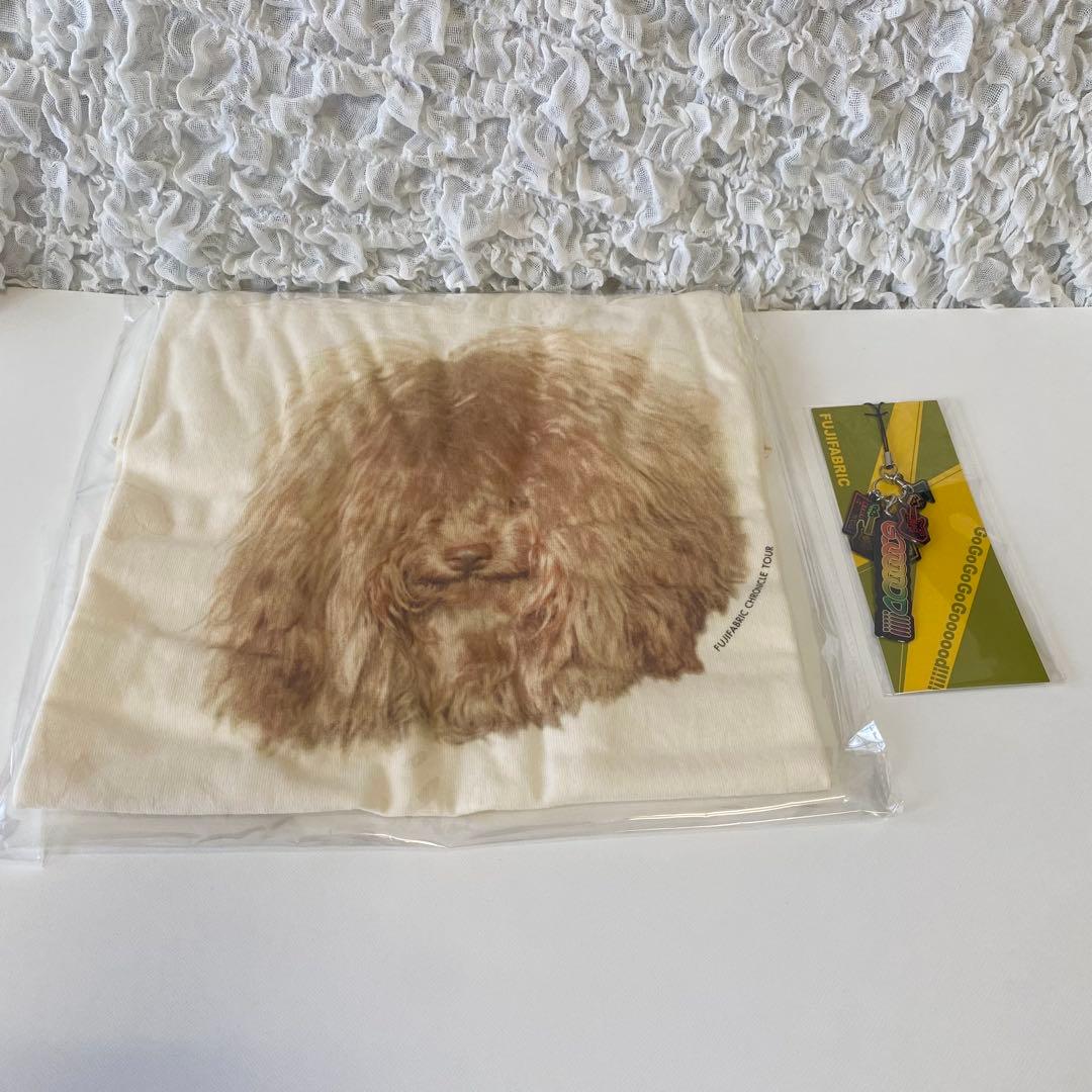 フジファブリック FAB BOX Ⅲ　完全生産限定盤