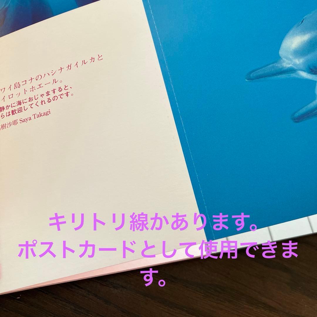 かめかめら展　フォトブック　ポストカード