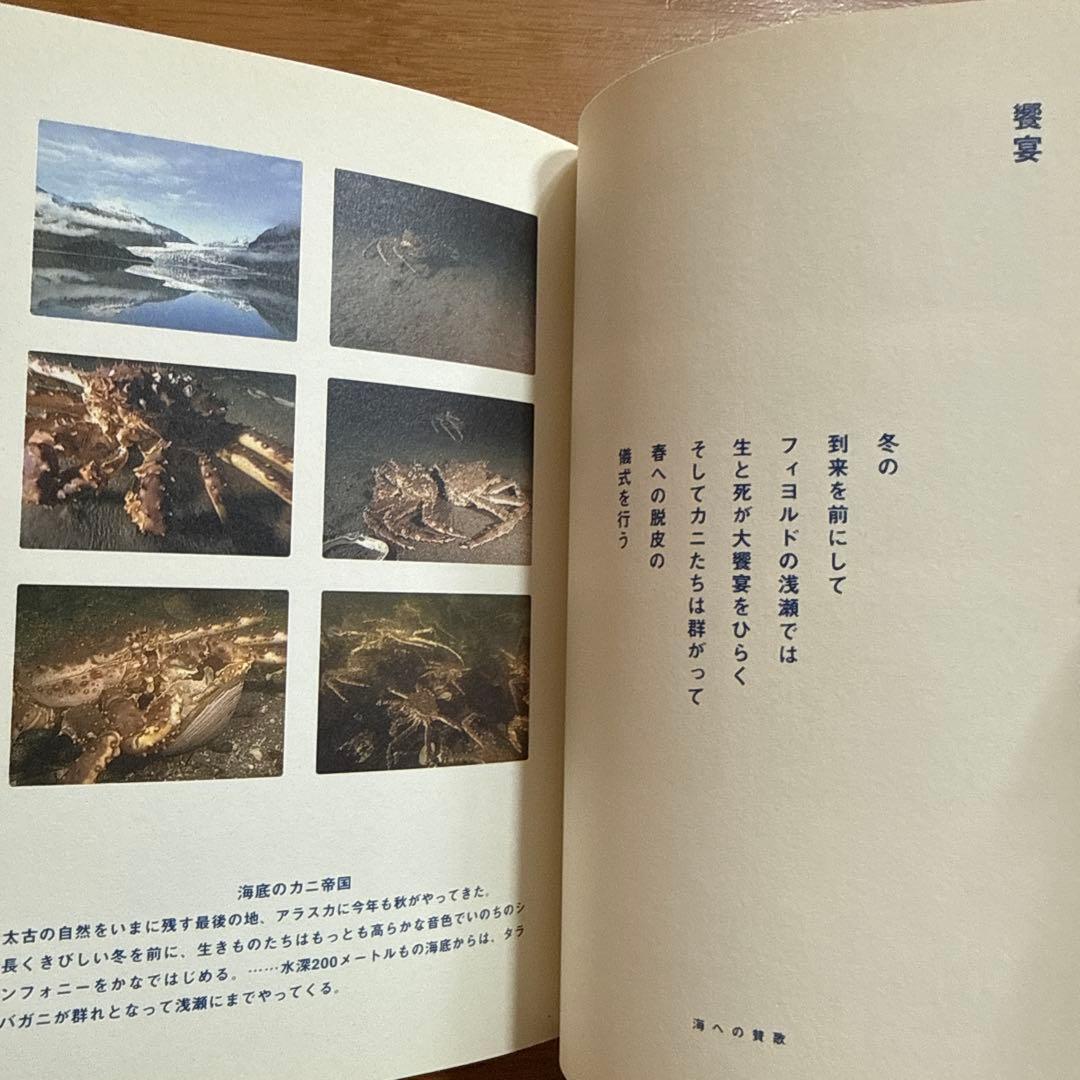 神々の詩 高良留美子