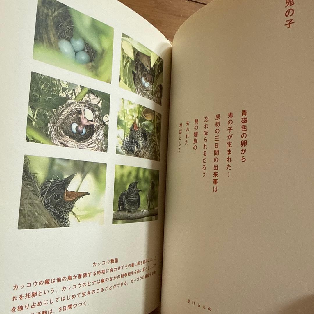 神々の詩 高良留美子