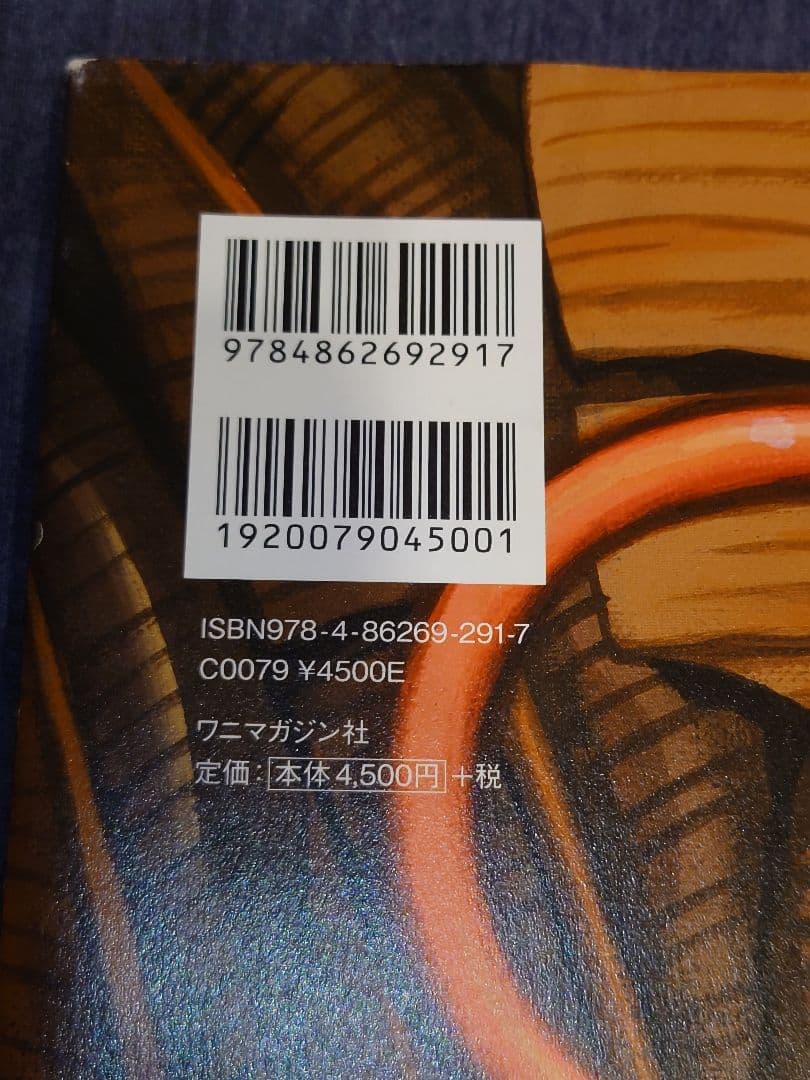 USED The Birth of Rockin JellyBean 画集