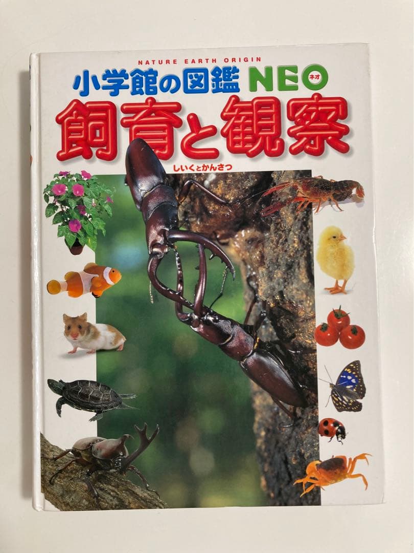 《14冊セット》小学館の図鑑NEO 小学館の子ども図鑑プレ図鑑NEO 調べ学習