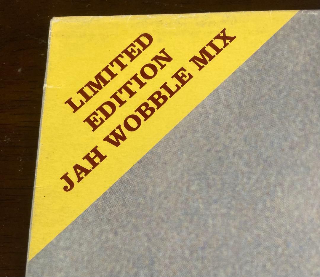 ◾️希少高音質12インチ盤◾️IAN McNABB / イアンマクナブ◾️Go Int