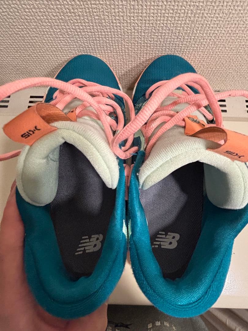 PG6 希少限定モデル