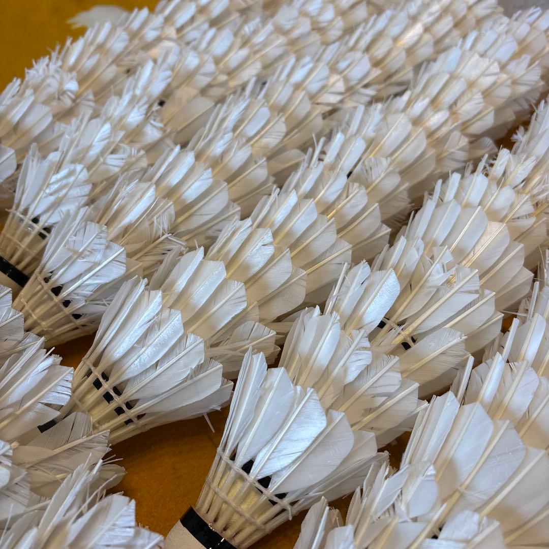 バドミントン　ノック用シャトル　206球セット　ヨネックス　ゴーセン