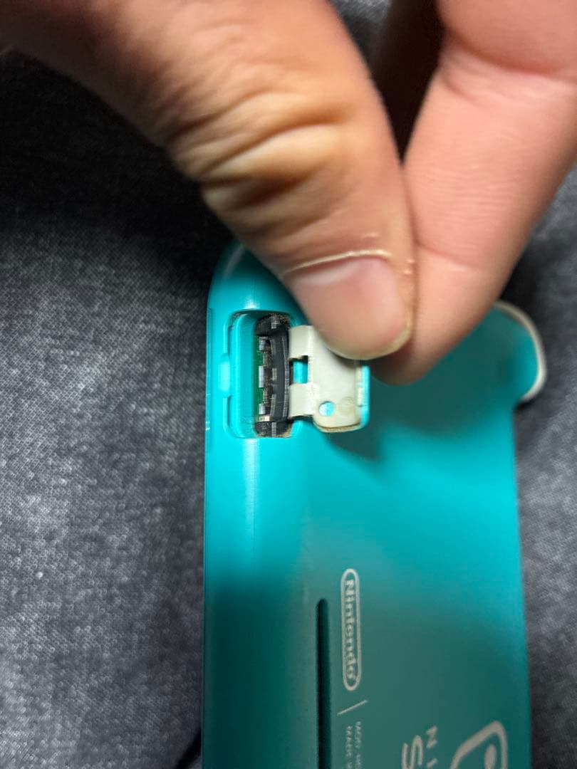 ヨ*ウ様 Nintendo Switch Light