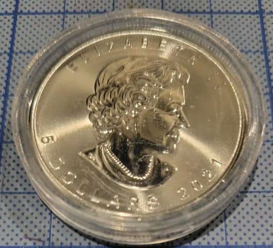 t*o様 メープルリーフ銀貨/新品2021年/1枚13000円/保護ケース入り