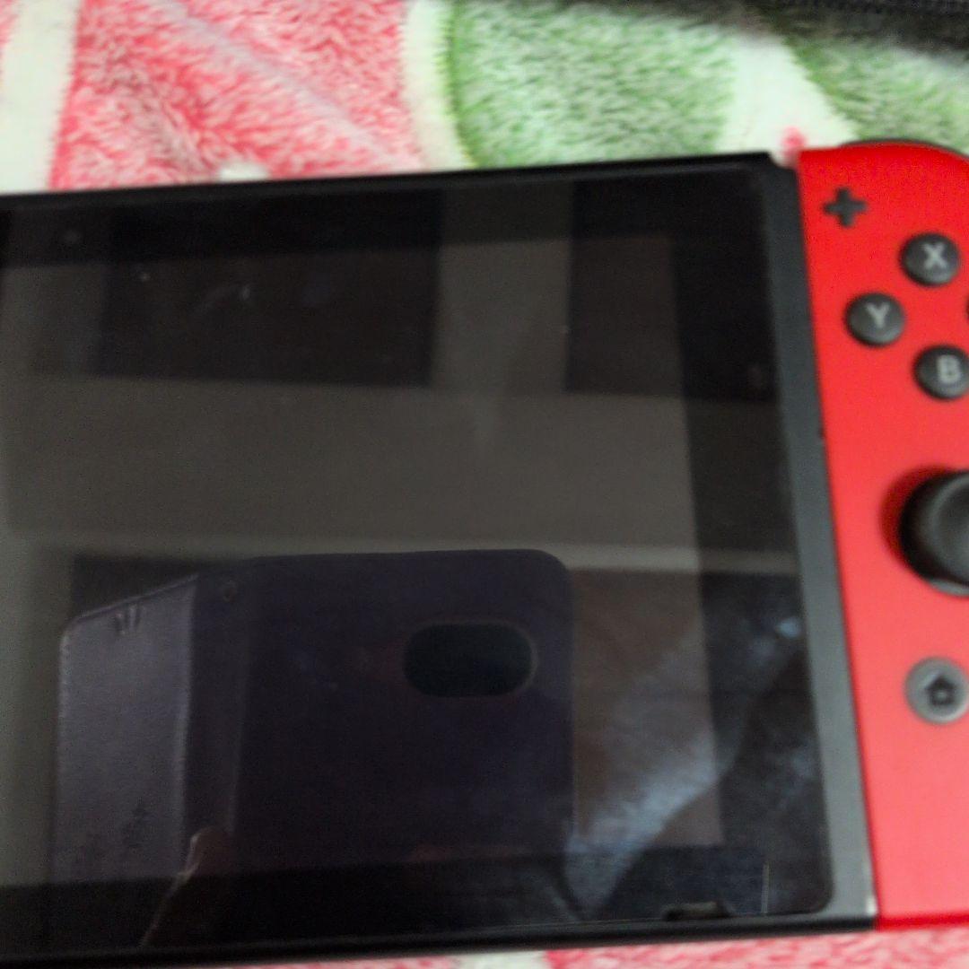 Switch スイッチ HAC-001 ジャンク