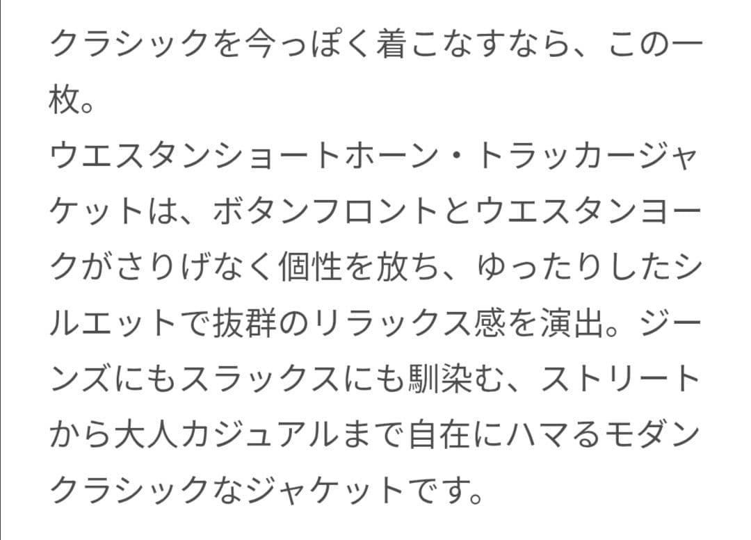 新品 Levi's XLサイズ ウエスタンショートホーントラッカー