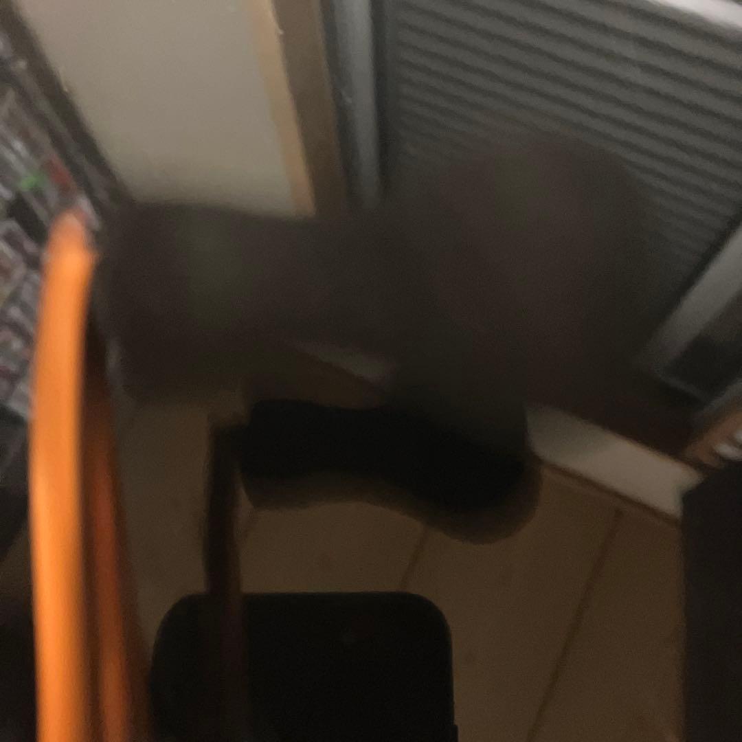 最終価格‼️ SHIMANO Barchetta BB 300HGDH