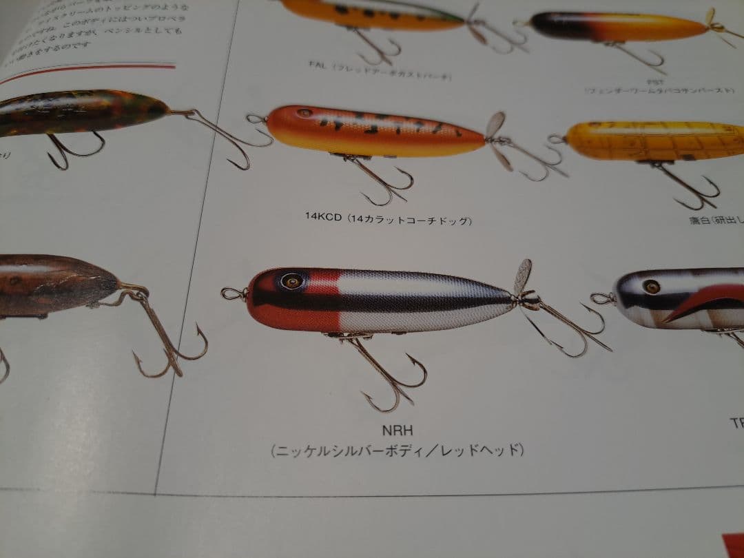 道楽　DOWLUCK　ドウラク　淀川トーピード