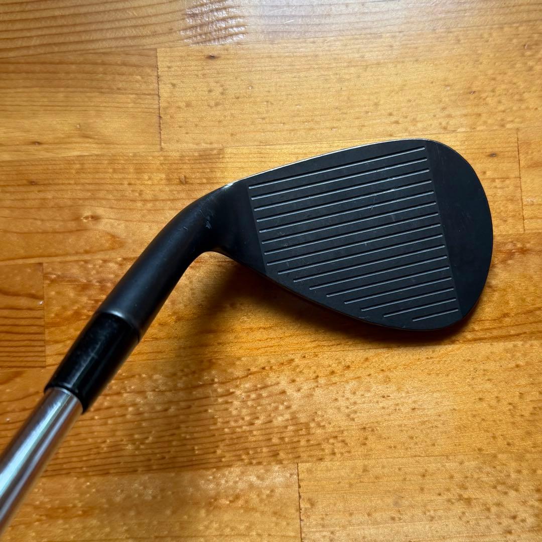 Dolphin Wedge DW-118 56度　ダイナミックゴールド　D5