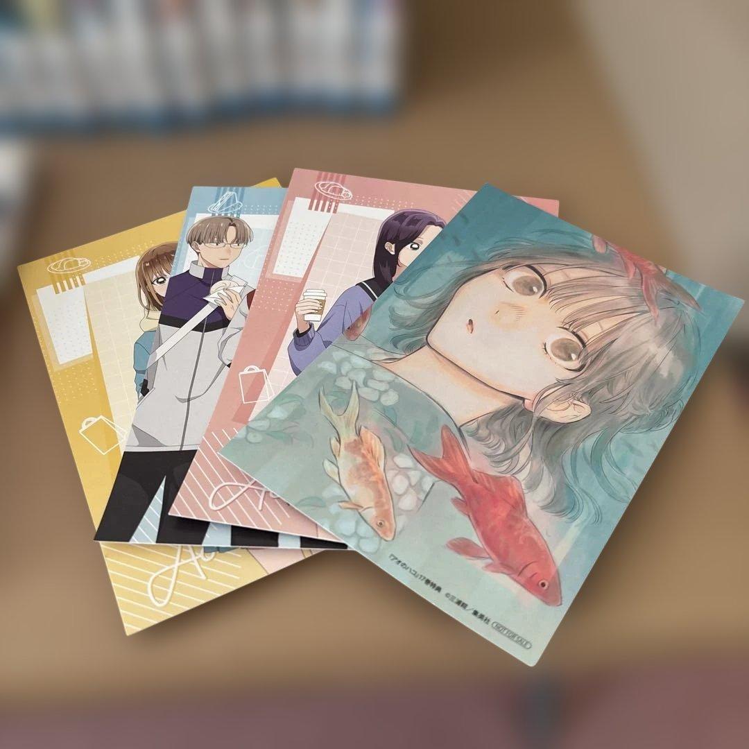 アオのハコ　1〜24巻+小説=25冊セット