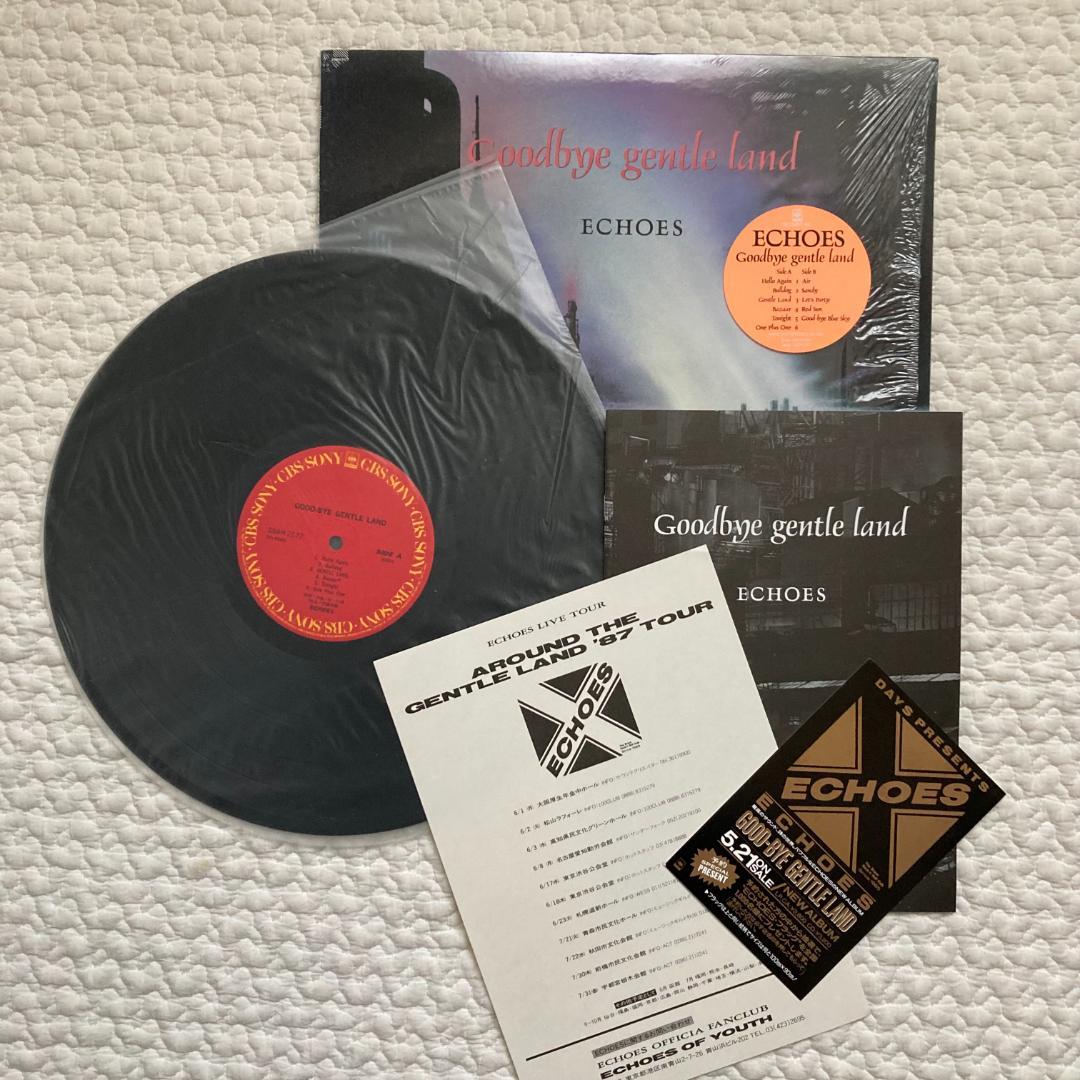 エコーズ 初期 アナログ レコード　5枚セット　辻仁成 　Jロック　シティポップ