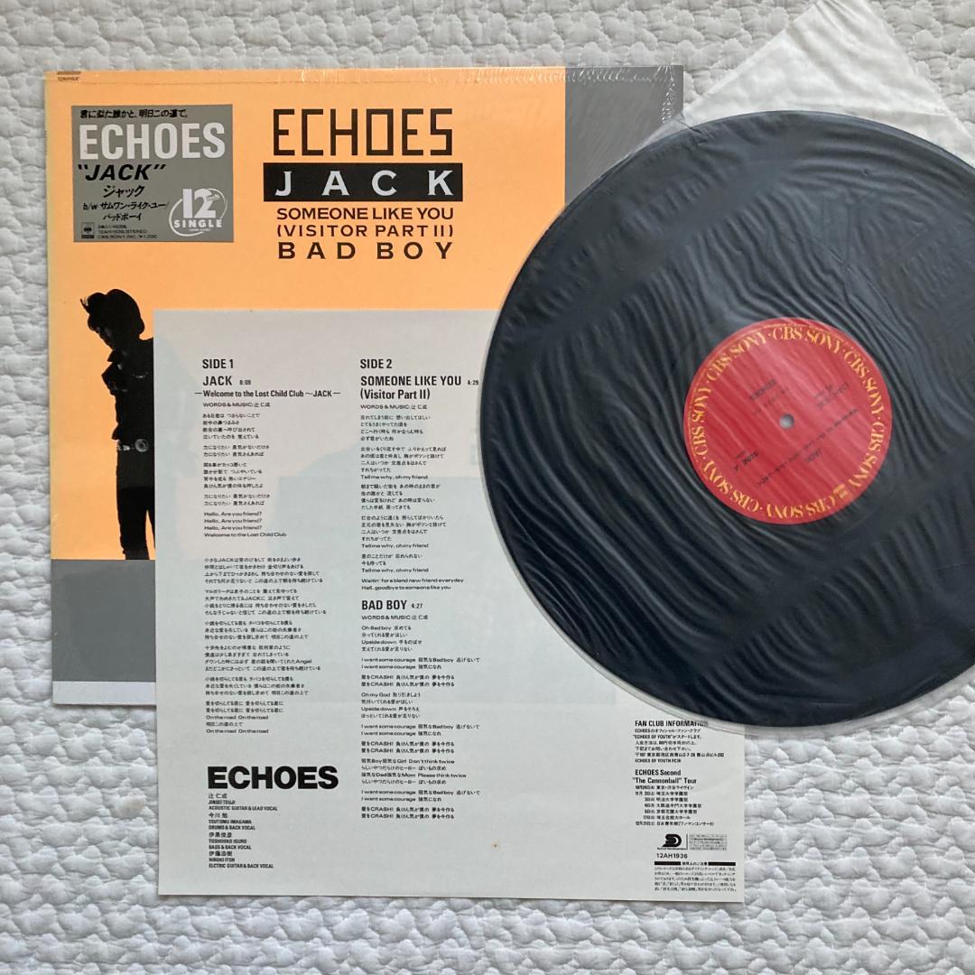 エコーズ 初期 アナログ レコード　5枚セット　辻仁成 　Jロック　シティポップ