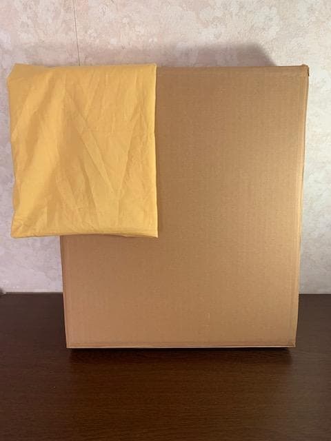 智*博様 美術館収蔵画家◆佐藤真一◆行動美術協会◆油彩ＳＭ◆評価１７万円／号