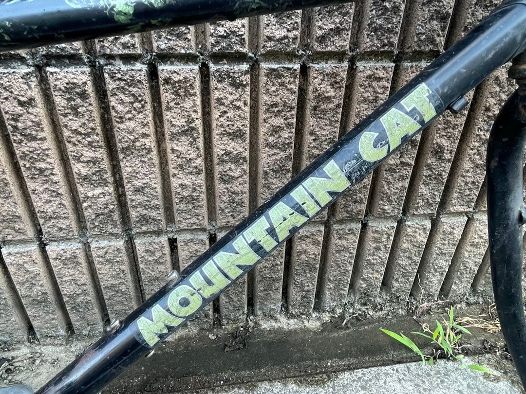 mountain cat マウンテンバイクフレーム