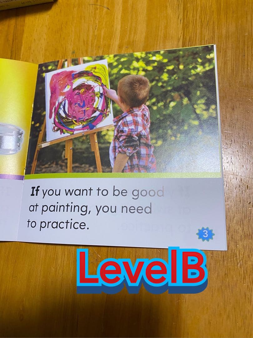 Nonfiction Sight Word ReadersABCD100冊セット