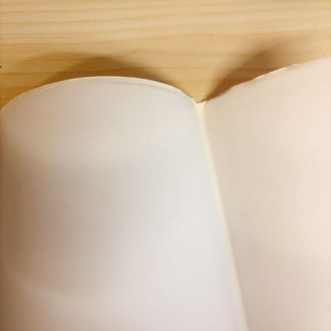 改訂前第四版　少女椿　丸尾末広