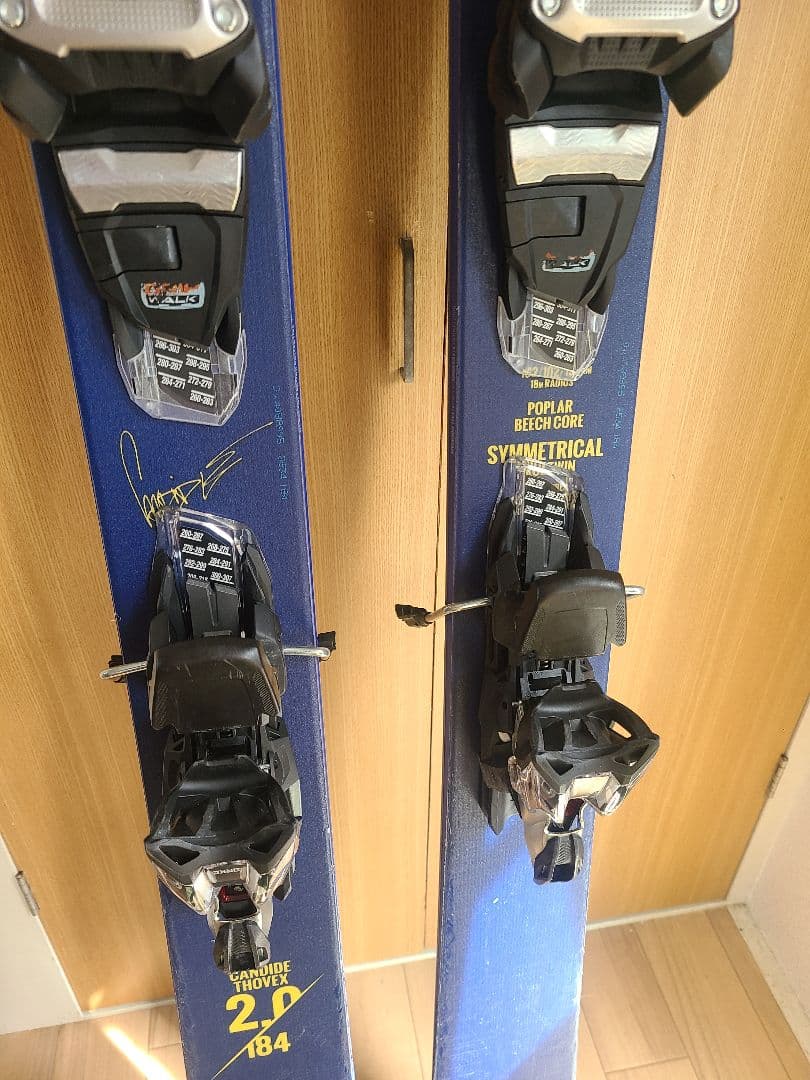 FACTION Candide Thovex 2.0 184cm スキー