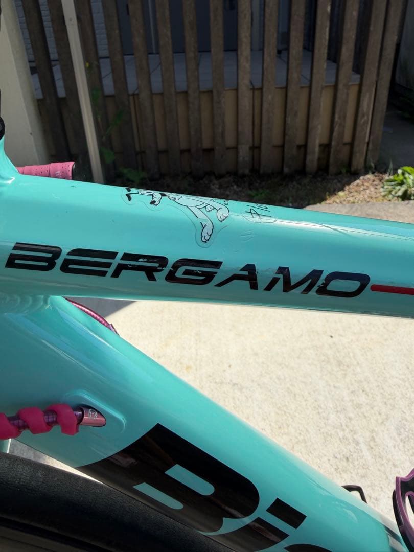 ビアンキ　ベルガモ