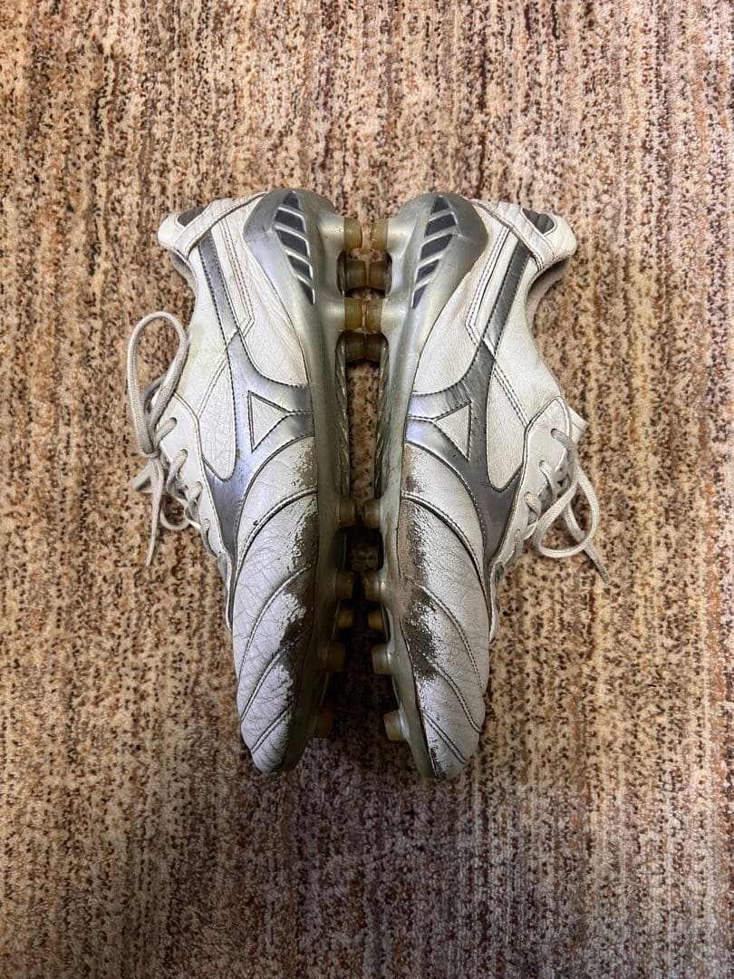 モレリア　DNA 27センチ