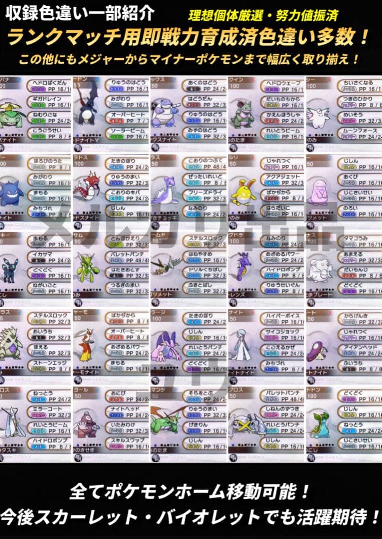 専用ページ リボンコンプ2体追加 アルファサファイア