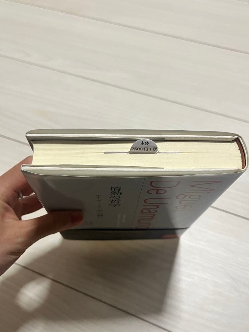 情熱の哲学 ウナムーノと生の闘い