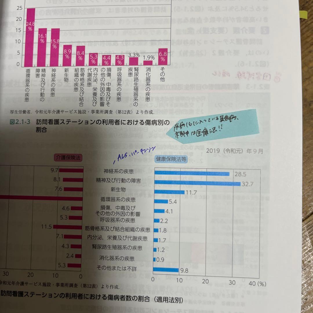 ナーシング・グラフィカ