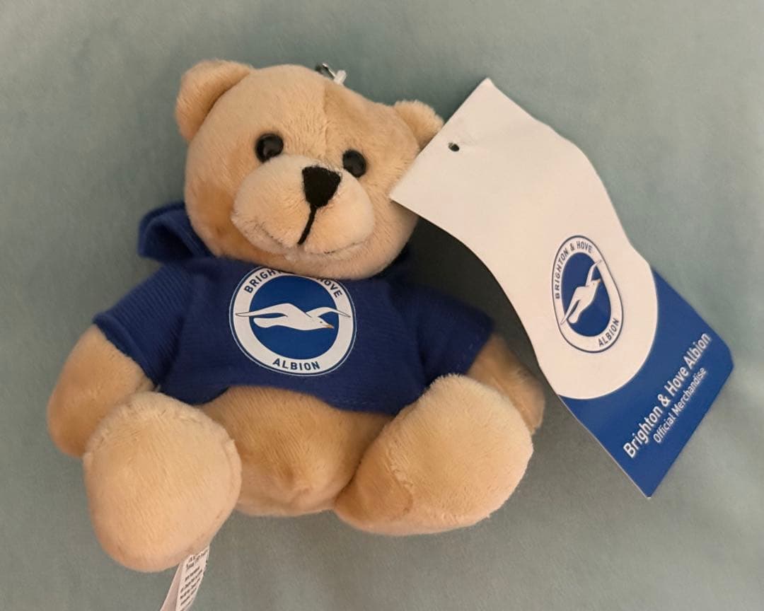 三笘薫直筆サイン入りフォト＋ ブライトン5選手直筆サイン入りカード＋オマケ